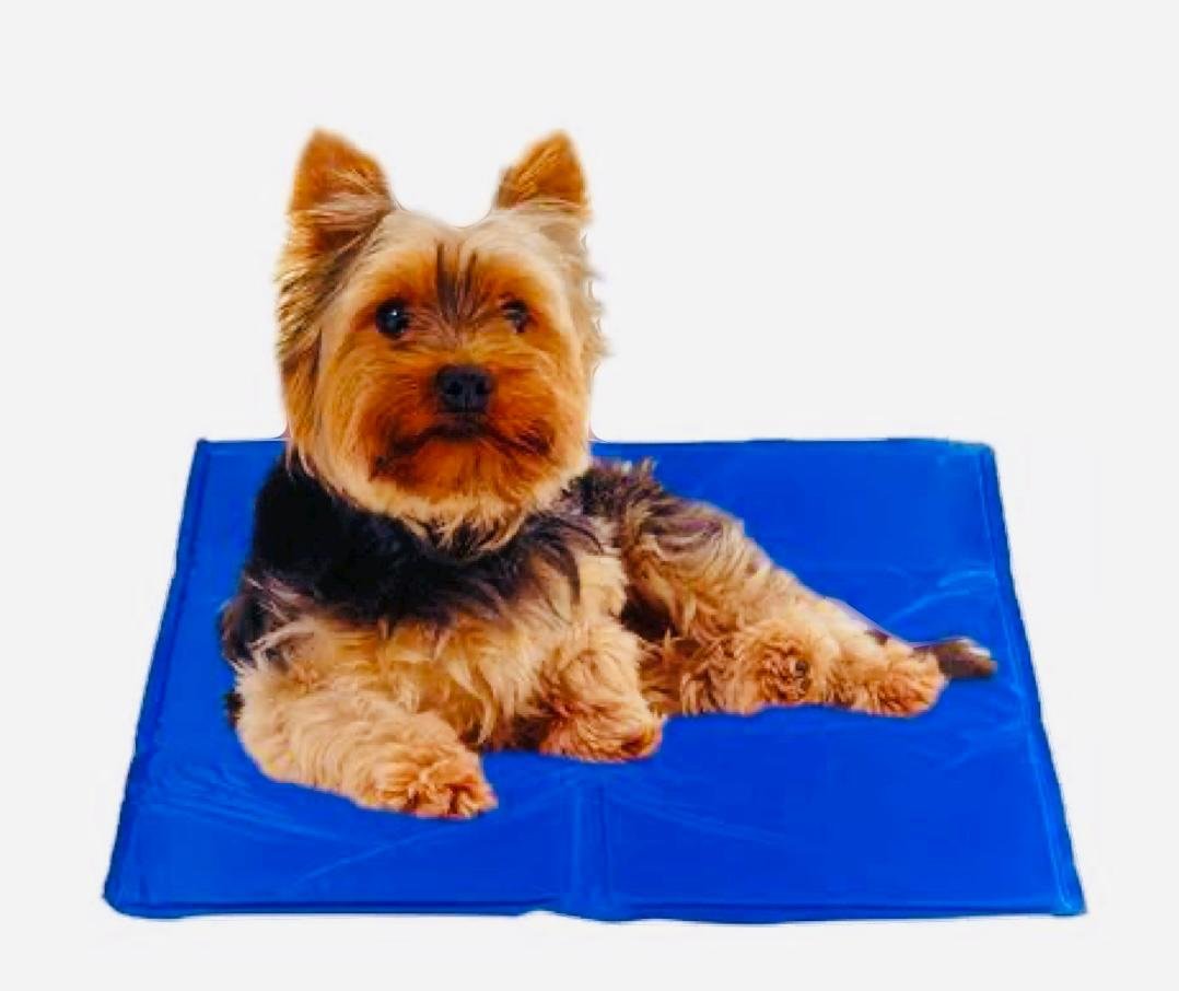 Tapetes refrescantes para mascotas - Imagen 3