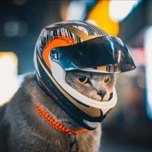 Cascos para mascotas DIY, casco para gatos, casco para perros, mini gorro seguro para proteger la cabeza al aire libre, accesorios para fotos de mascotas, mini casco de motocicleta